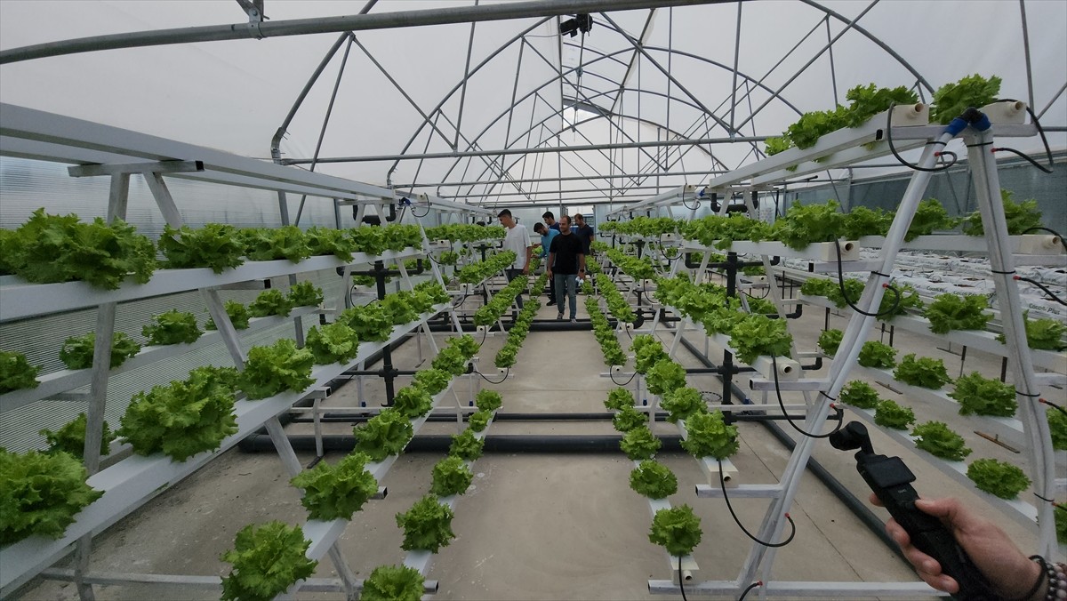 Amasya Üniversitesi Suluova Meslek Yüksekokulu (MYO) tarafından hazırlanan "Akıllı Seralar, Üreten...