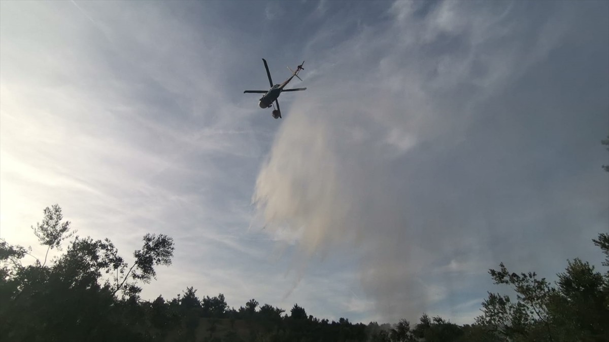 Bursa'nın Mudanya ilçesinde, ormanlık alanda çıkan yangın ekiplerin havadan ve karadan...
