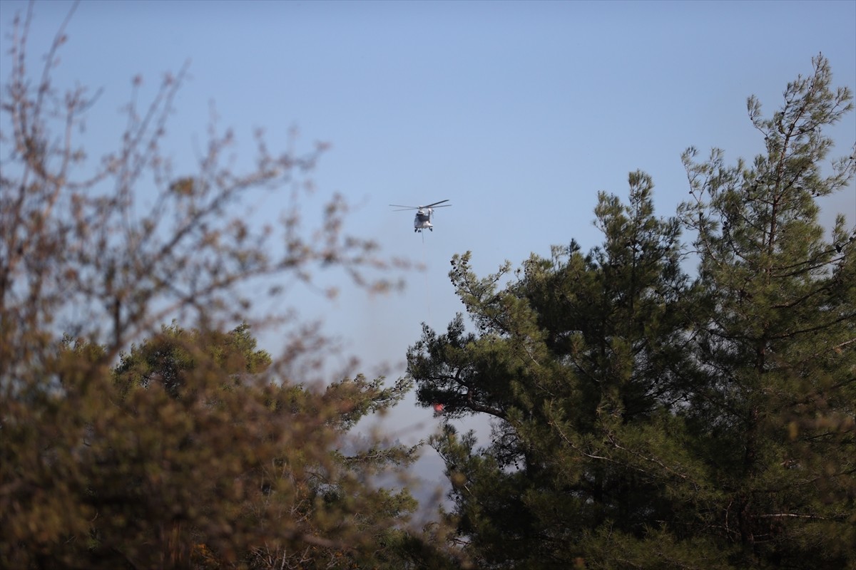 Muğla'nın Dalaman ve Menteşe ilçelerindeki orman yangınlarına havadan ve karadan müdahale sürüyor....