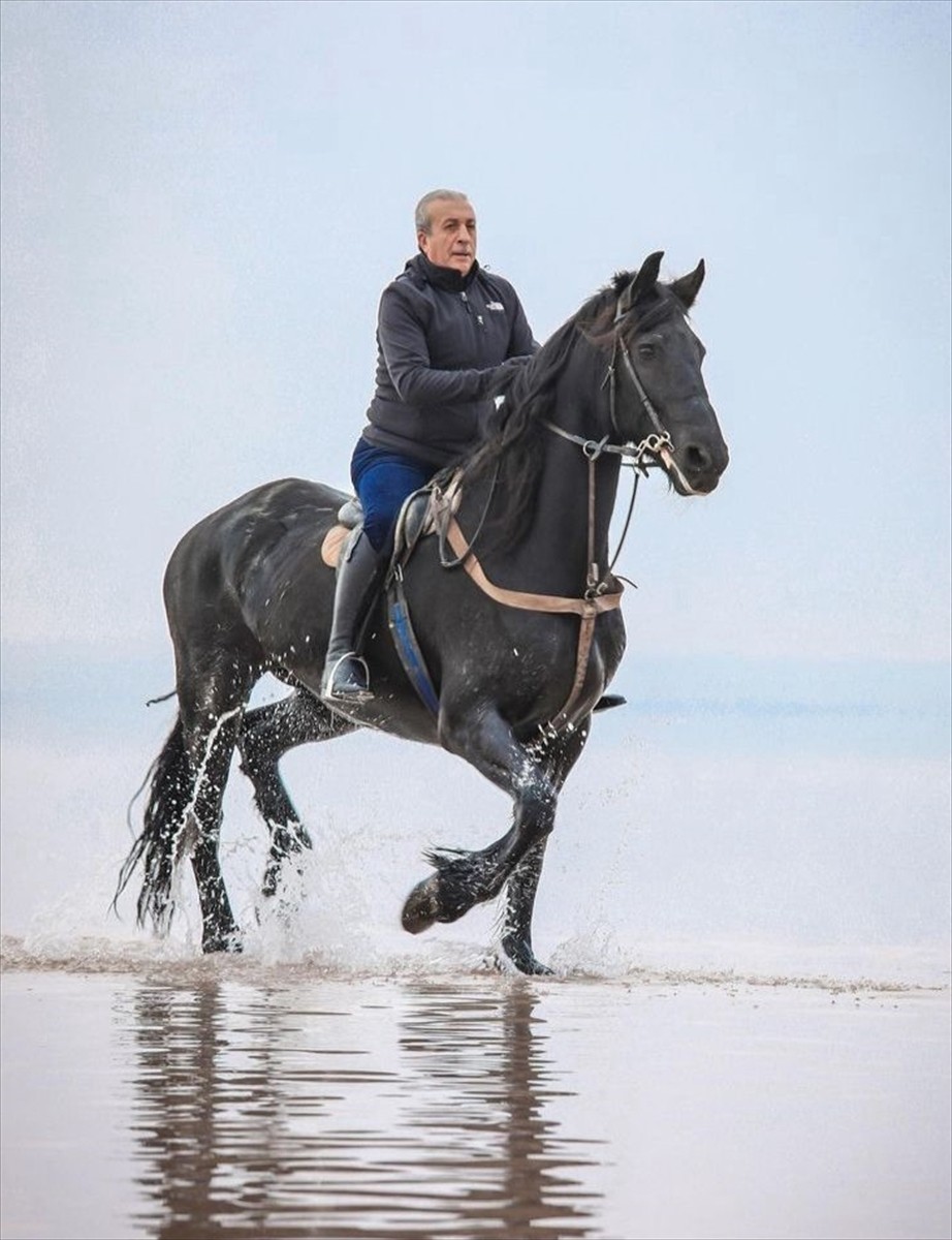 Türkiye Binicilik Federasyonu tarafından Kocaeli'nin Gebze ilçesinde Atlı Dayanıklılık Türkiye...