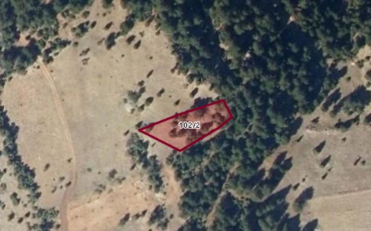 Milli Emlak'tan Yatırımcılar için Uygun Fiyatlı Arsa ve Tarla Satışları