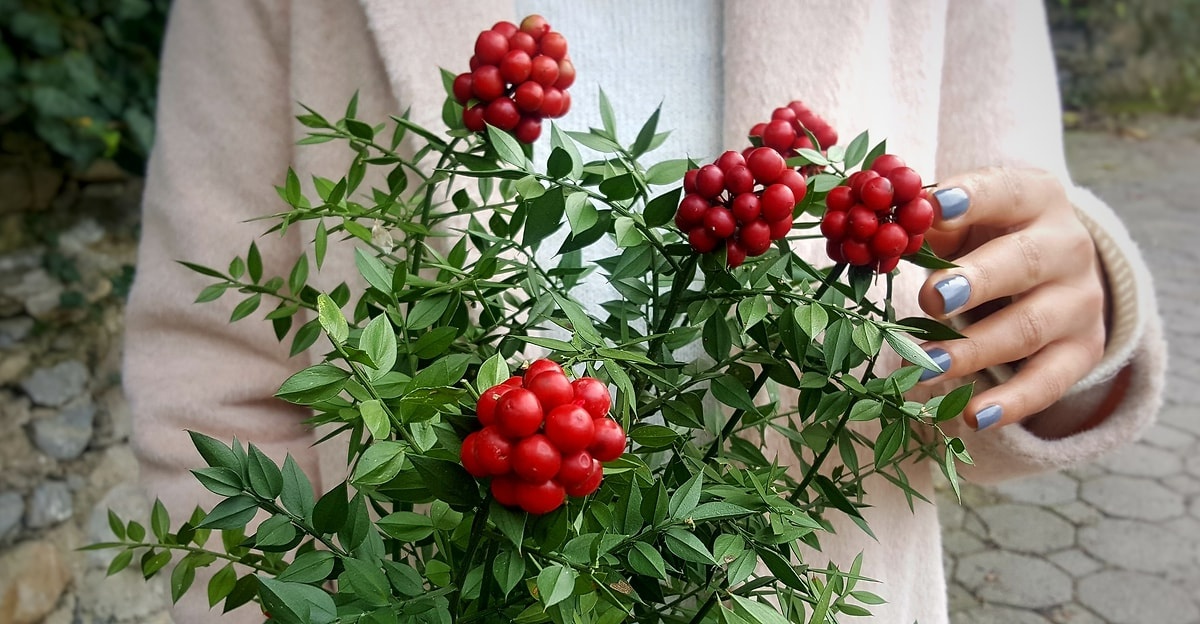 2025 Yılına Bereket ve Aşkla Girmek İçin Yılbaşı Ritüelleri