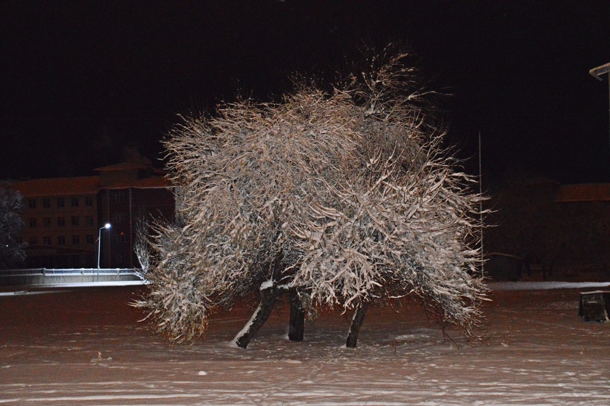 Ağrı'nın Eleşkirt ilçesinde kar yağışı sonrası etraf beyaza büründü. 