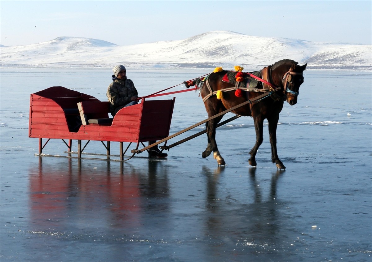 Ardahanlı kızakçı, turistleri rahatça gezdirebilmek için buzla kaplanan Çıldır Gölü üzerinde...