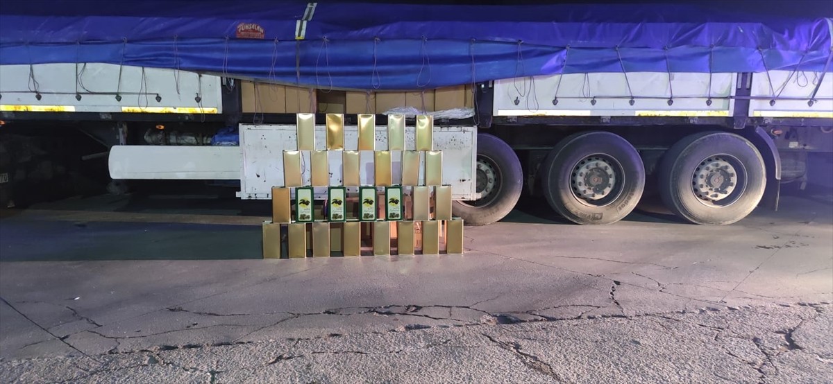 Aydın'ın Çine ilçesinde 34 ton tağşişli zeytinyağı ele geçirildi.  