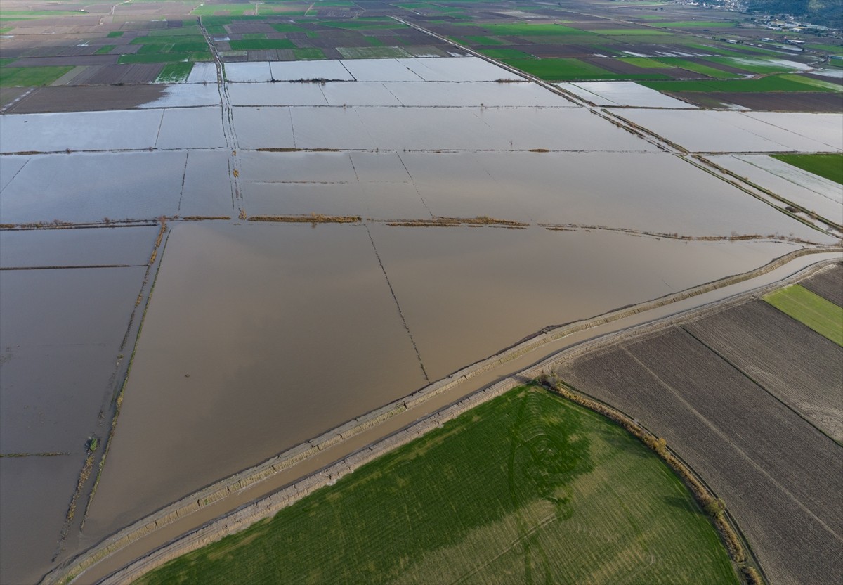 Aydın Ovası'nın sulamasında can damarı olan Büyük Menderes Nehri'nin bazı noktalarında taşkınlar...