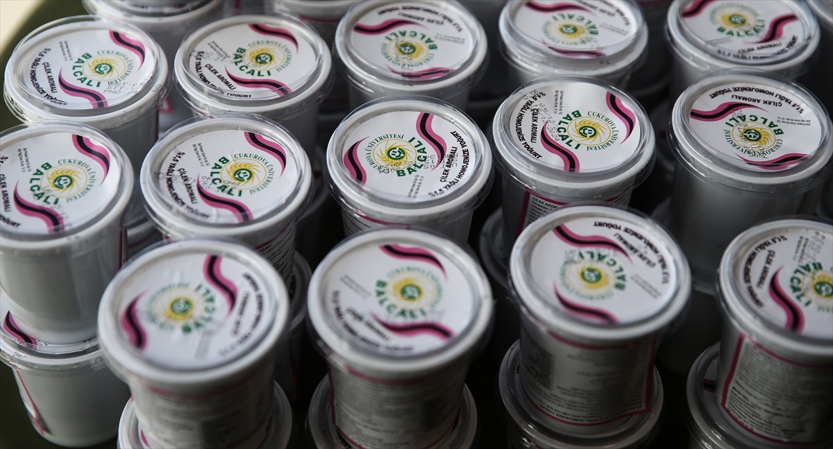 Çukurova Üniversitesi (ÇÜ) bünyesinde üretilen aktif karbonlu yoğurdun tanıtımı yapıldı.  ÇÜ...