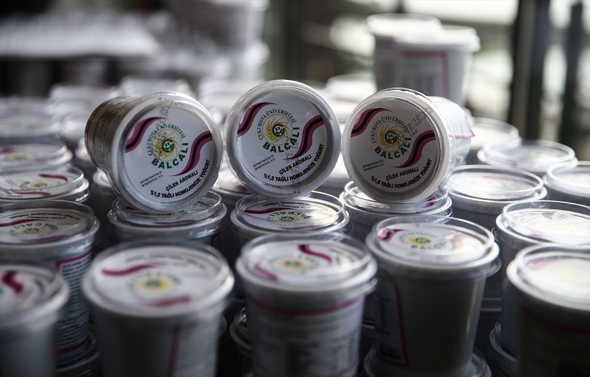 Çukurova Üniversitesi (ÇÜ) bünyesinde üretilen aktif karbonlu yoğurdun tanıtımı yapıldı.  ÇÜ...