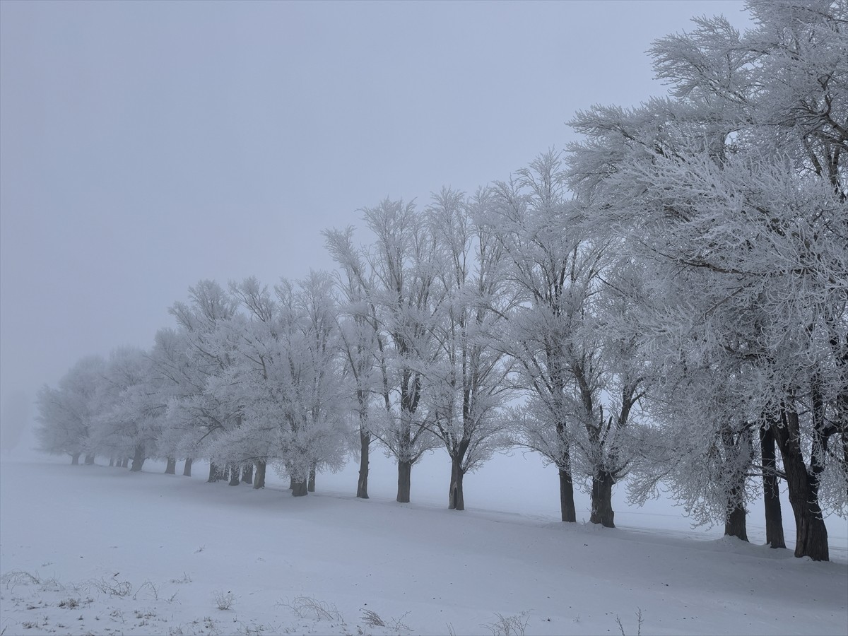 Erzurum'un Tekman ilçesi, gece sıfırın altında 17 dereceyle Türkiye'nin en soğuk yeri olarak...