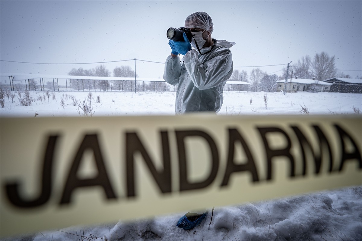 Erzurum İl Jandarma Komutanlığı Kriminal Şube ekipleri, gelişmiş teknoloji desteğiyle delilden...