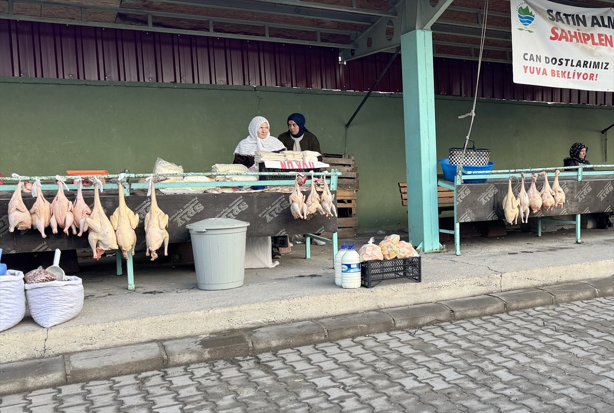 Karabük'ün Eflani ilçesinde doğal ortamda beslenen hindiler, kilogramı 550-600 liradan satışa...