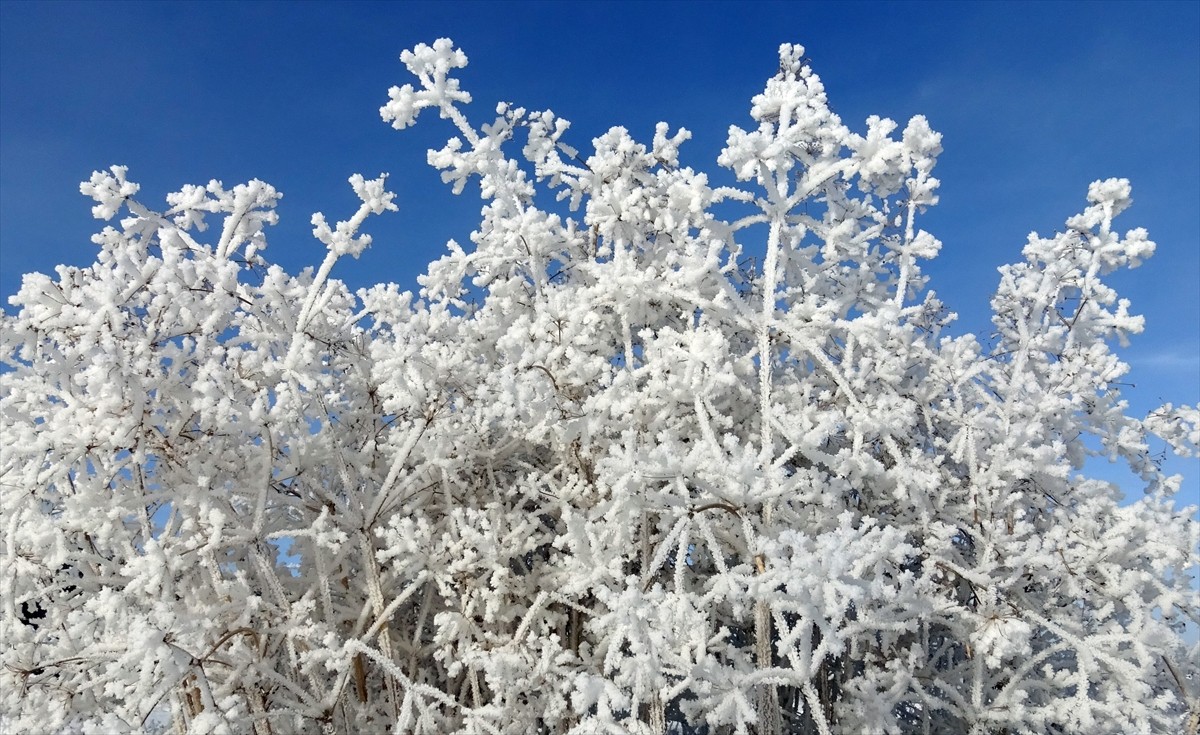 Kars'ın Sarıkamış ilçesinde dondurucu soğukların etkisiyle dereler ve göletler buz tuttu.  Soğuk...