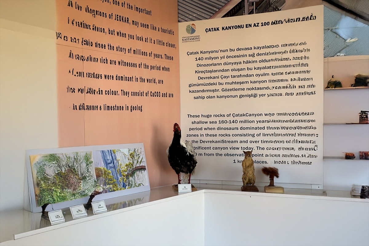 Kastamonu'nun Abana, Ağlı, Azdavay, Bozkurt, Cide, Çatalzeytin, Doğanyurt, İnebolu, Küre...