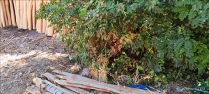 Milli Emlak İhaleleri 2025: Uygun Fiyatlarla Arsa ve Arazi Fırsatları