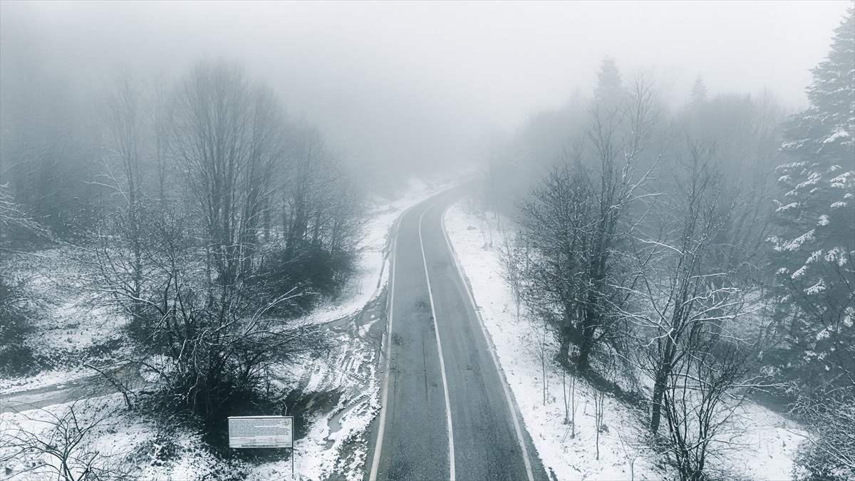 Sakarya'nın Kocaali ilçesinde etkili olan kar yağışı sonrası yüksek kesimler beyaz örtüyle...