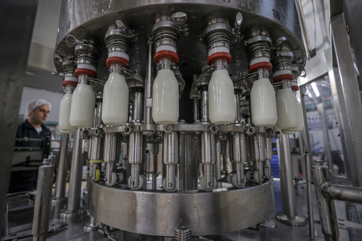 Süt ve süt ürünleri alanında Türkiye'nin en eski markalarından Yörsan, iflasının ardından el...