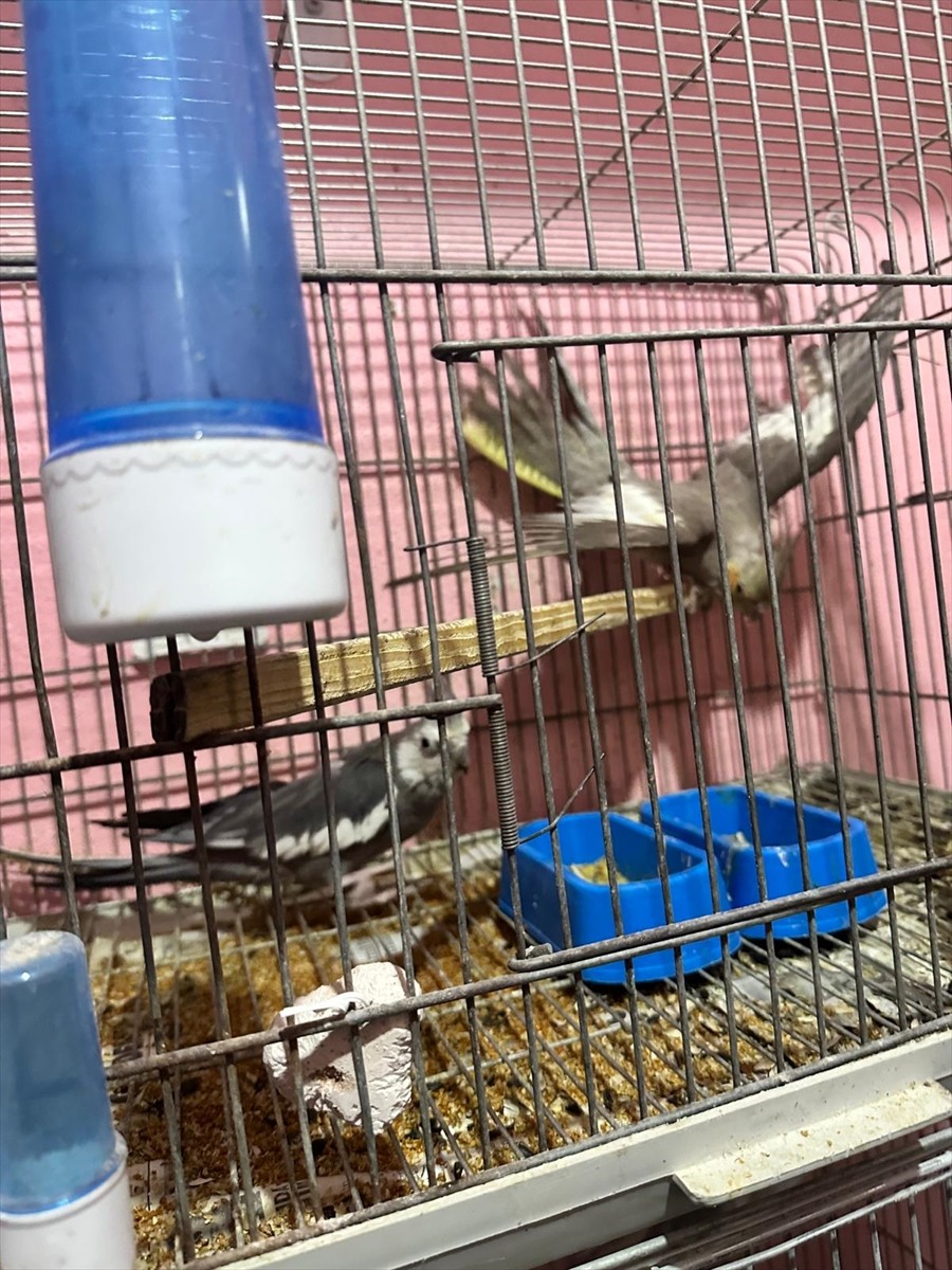 Tekirdağ'da düzenlenen kaçakçılık operasyonunda 15 şüpheli gözaltına alındı. Operasyonlarda, 235...