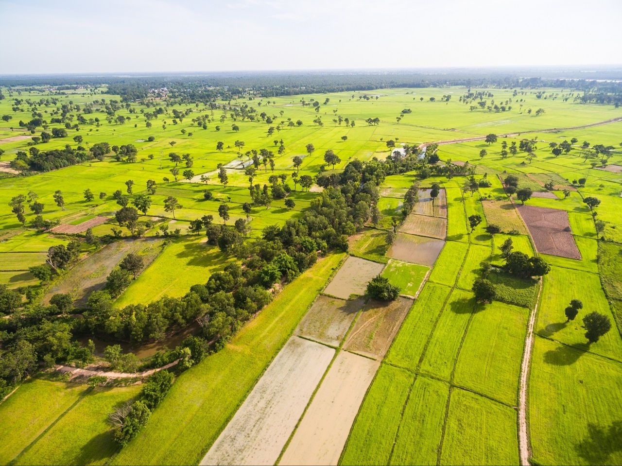 TOKİ'den Arsa Satış Müjdesi: 90.000 TL'den Başlıyor