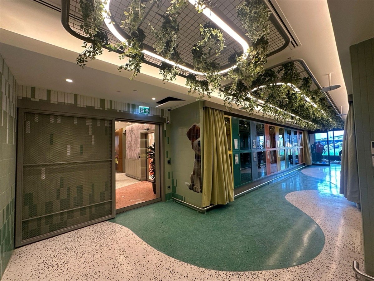 Türk Hava Yolları (THY), yolcuların beraberinde götürdüğü evcil hayvanları için özel tasarlanan...