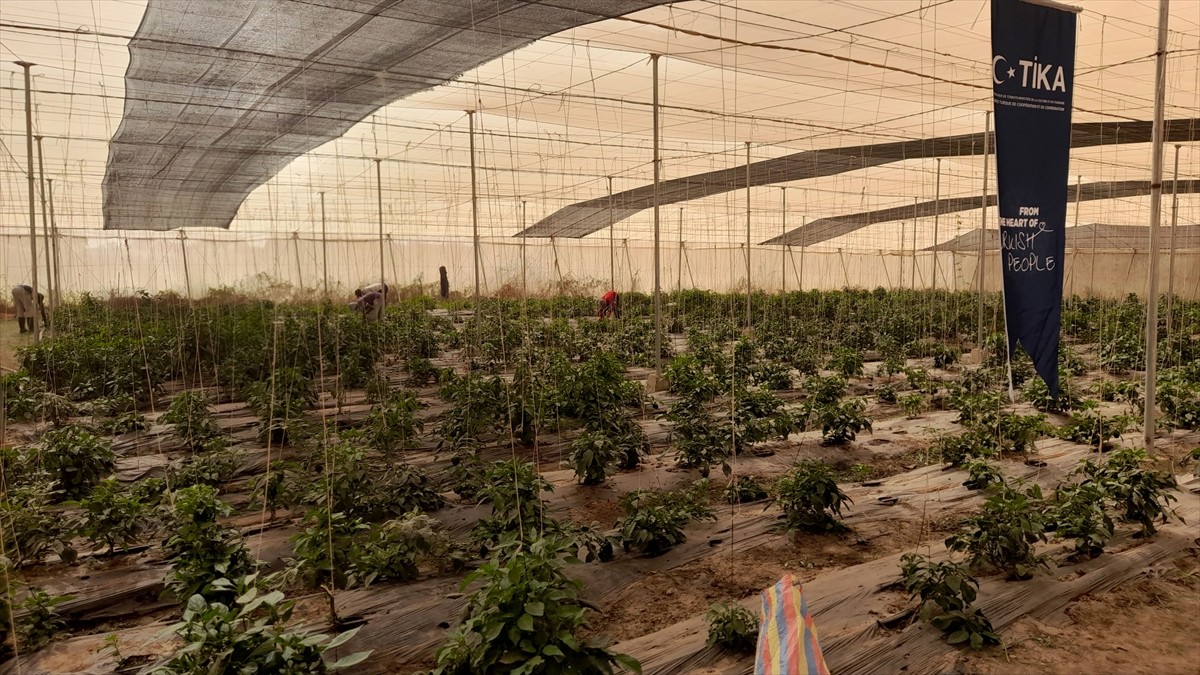 Türk İşbirliği ve Koordinasyon Ajansı Başkanlığı (TİKA) ve Senegal Adalet Bakanlığı işbirliğiyle...