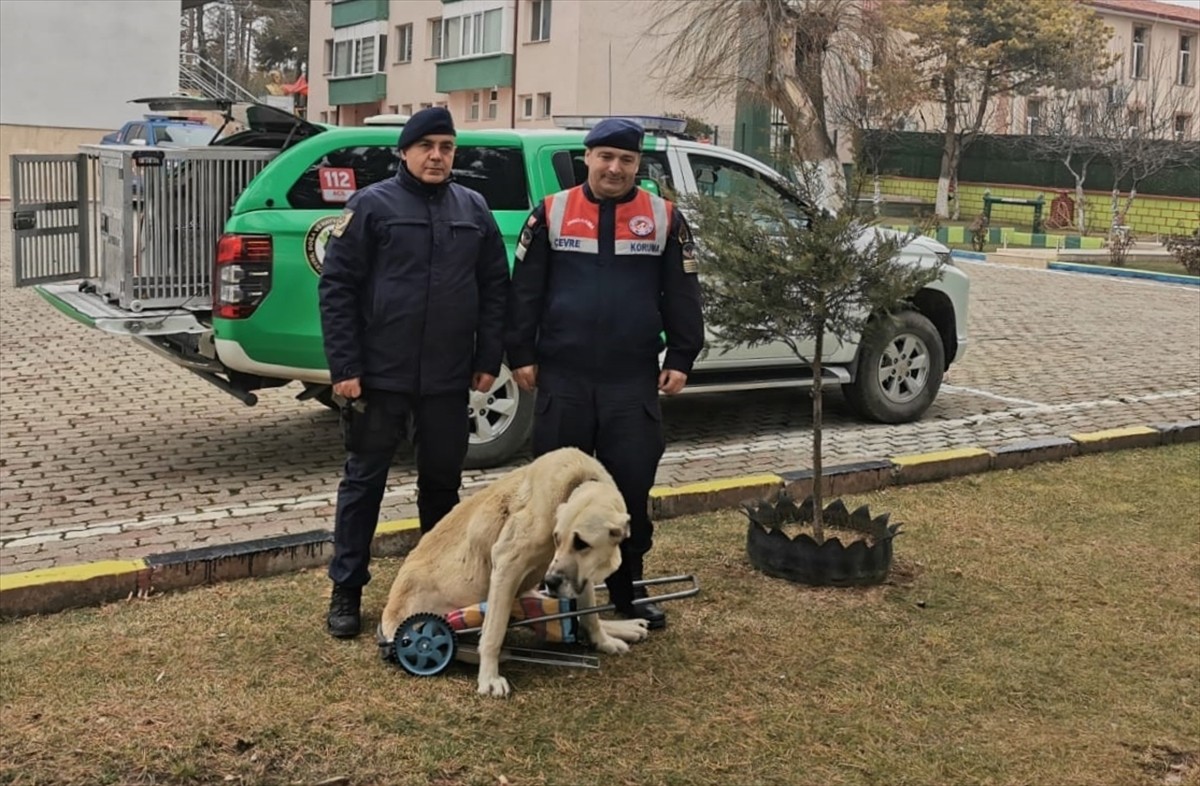  Yozgat'ta, Çayıralan İlçe Jandarma Komutanı Astsubay Kıdemli Başçavuş Haluk Aktan ile Çevre, Doğa...