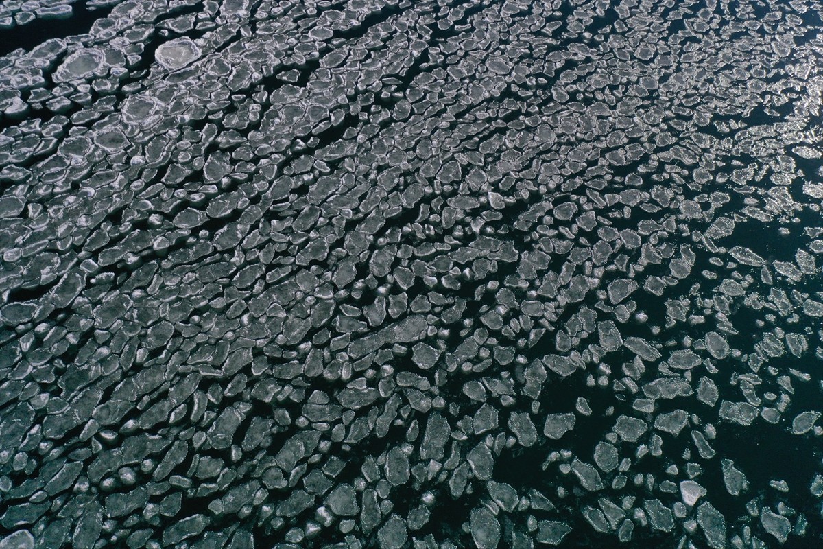 Ağrı'nın Taşlıçay ilçesinde bulunan 2 bin 241 rakımlı Balık Gölü'nde soğuk havanın etkisiyle...