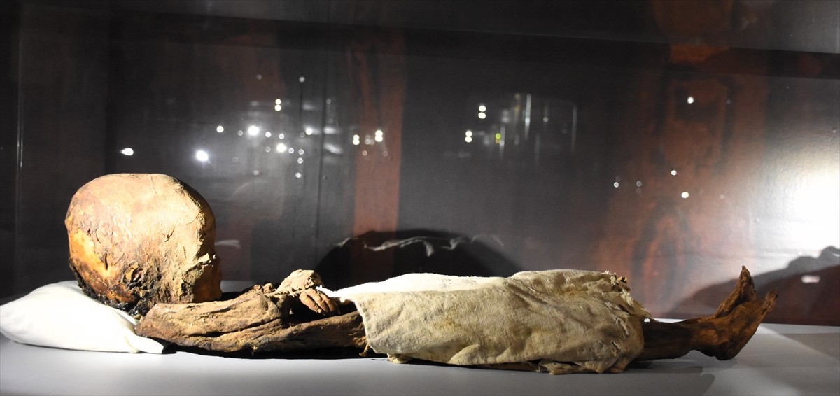 Aksaray'daki çeşitli kazılarda bulunarak sergilenen 10 yetişkin, 3 çocuk ve kedi mumyasını, geçen...