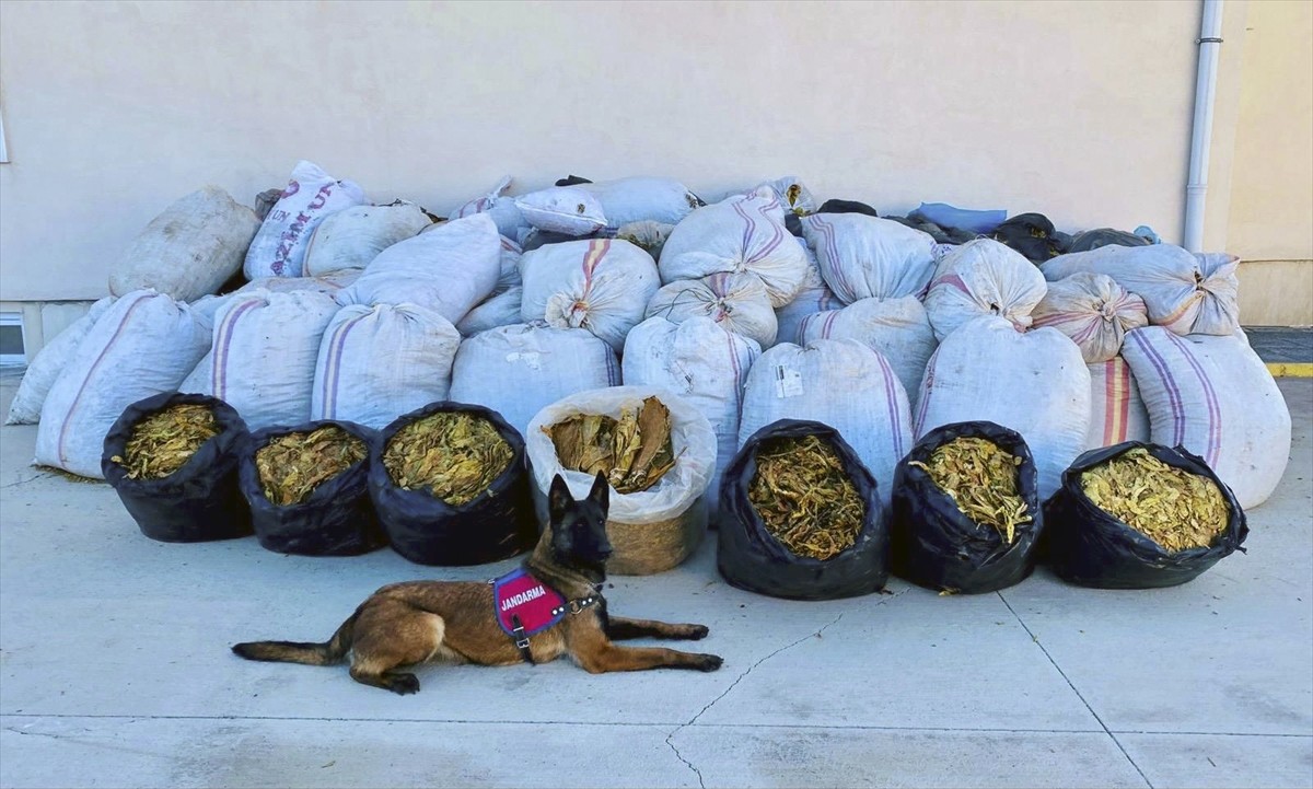 Batman'ın Kozluk ilçesinde bir kamyonette kaçak 3 ton 640 kilogram tütün ele geçirildi.