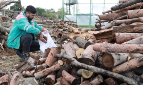 Belediyeden Emekli ve Dar Gelirliye Destek: Kömür ve gıda desteği başladı
