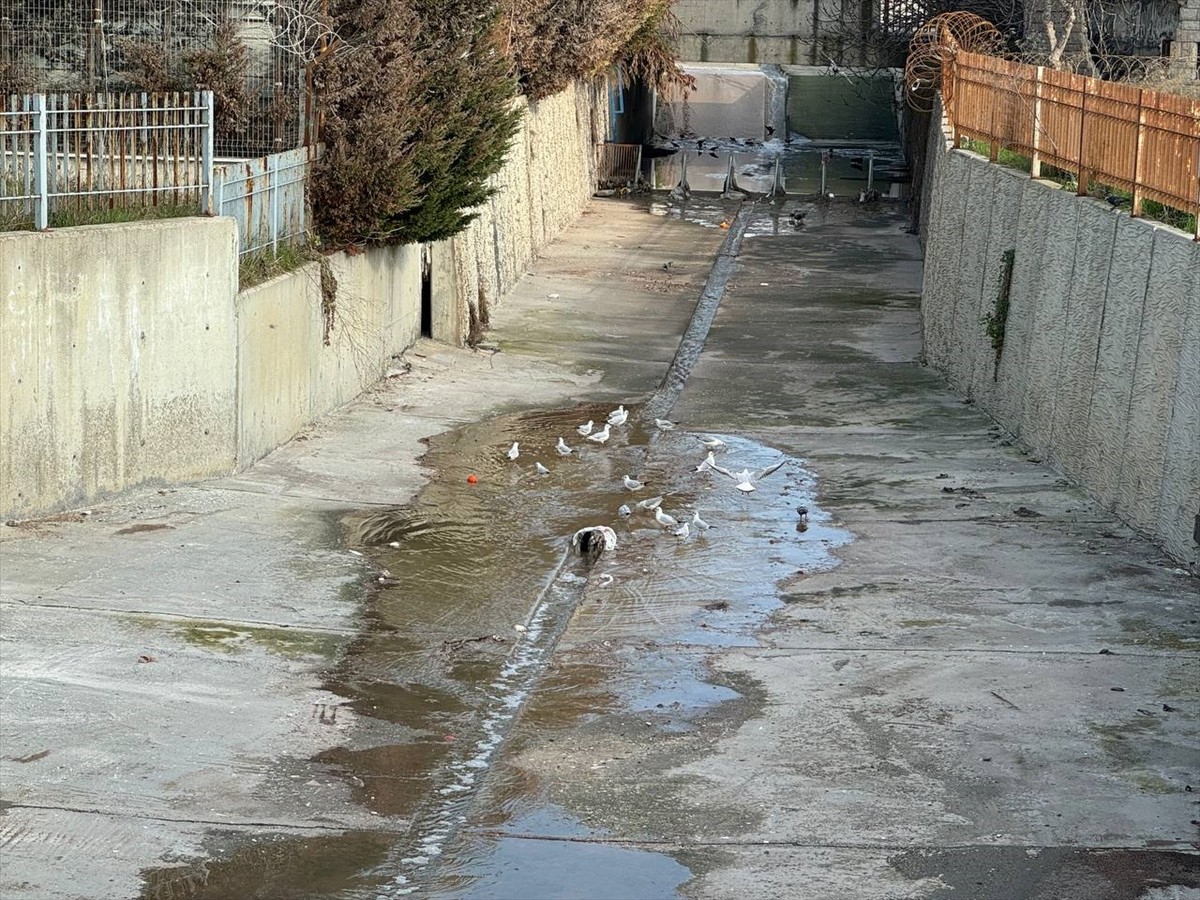 Beylikdüzü'nün Gürpınar sahilinde dereden denize akan kirli su çevreye zarar veriyor.