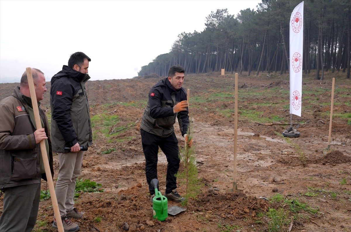 Bizim Dünyamız Vakfı tarafından İstanbul Başkonsoloslar Birliği işbirliğinde ve Orman Bölge...