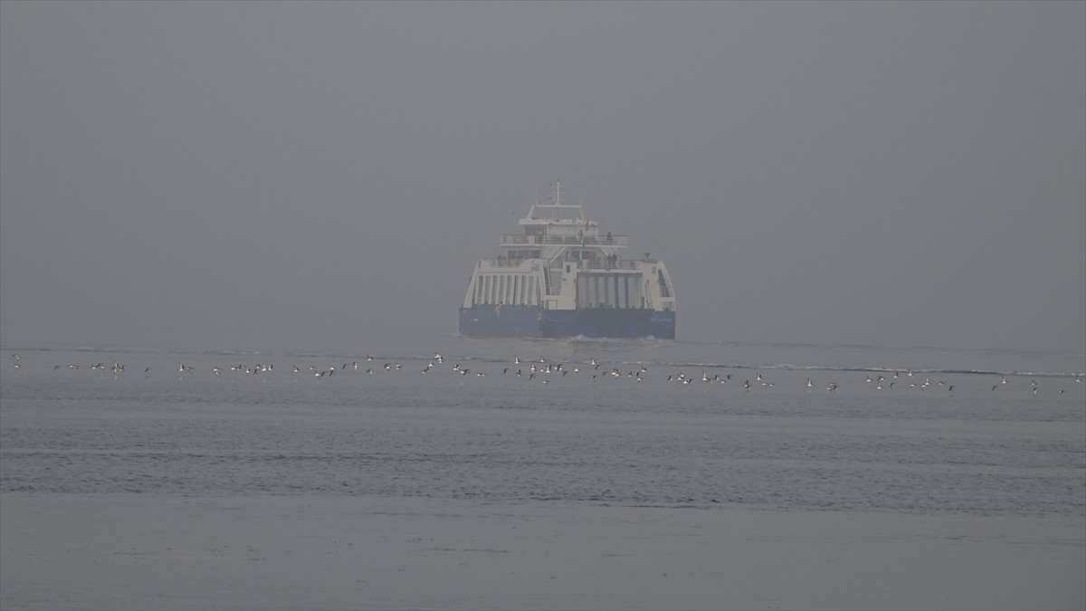 Çanakkale Boğazı'nda etkili olan yoğun sis nedeniyle geçici olarak durdurulan Çanakkale-Eceabat ve...