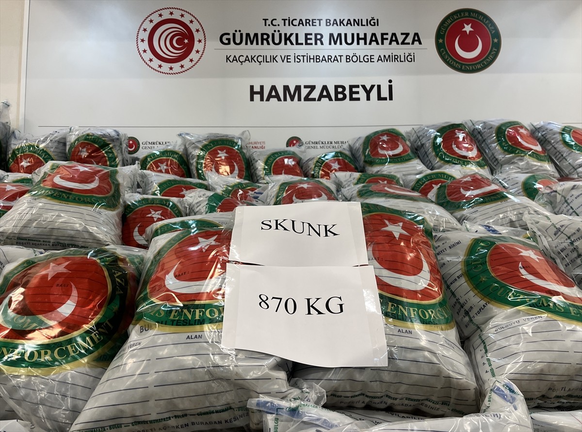 Edirne'de, Hamzabeyli Sınır Kapısı'nda bir tırda 870 kilogram skunk ele geçirildi, olayla ilgili 2...