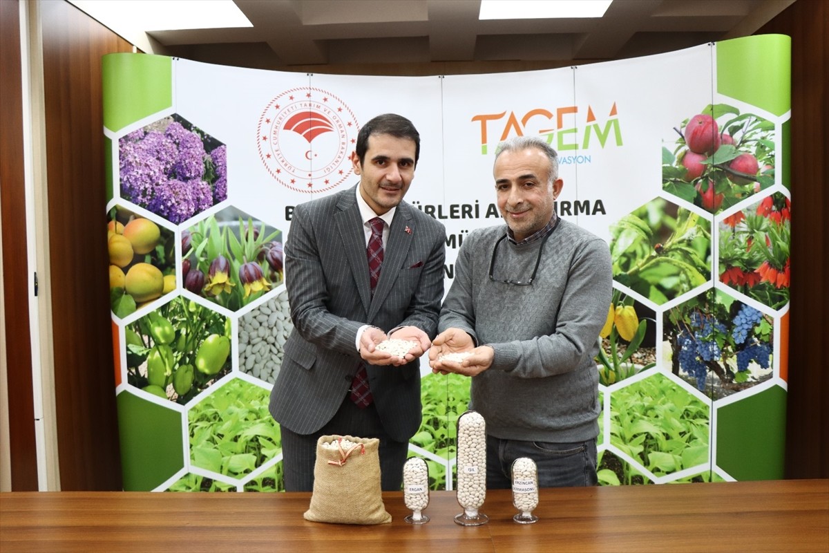 Erzincan Bahçe Kültürleri Araştırma Enstitüsü Müdürlüğü tarafından geliştirilen, iki adet kuru...