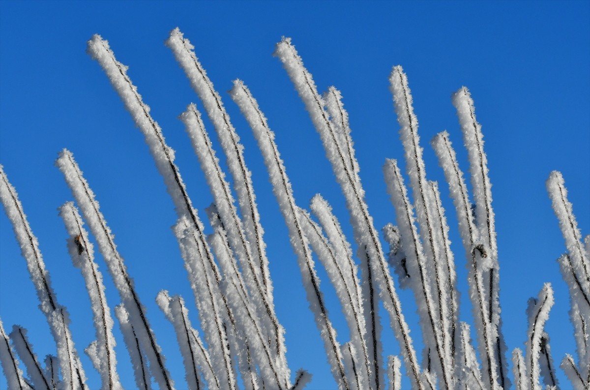 Gece hava sıcaklığının sıfırın altında 12,7 dereceye düştüğü Kars'ın Sarıkamış ilçesinde bina...