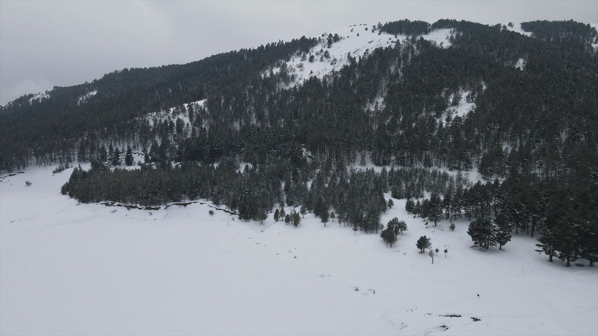 Giresun'un Şebinkarahisar ilçesindeki 1800 rakımlı Dikmetaş Yaylası'nda DSİ'nin tarımsal sulama...