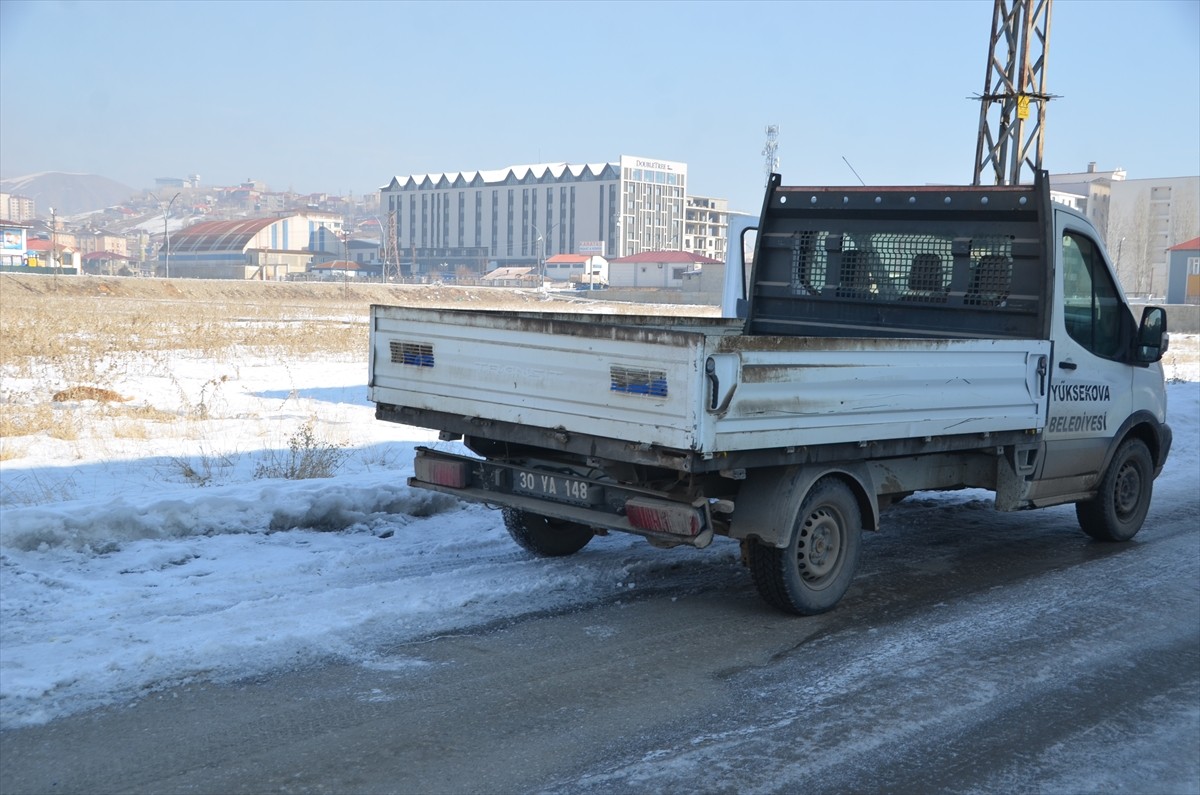 Hakkari'nin Yüksekova ilçesinde, İlçe Tarım ve Orman Müdürlüğü ile belediye ekipleri sahipsiz...