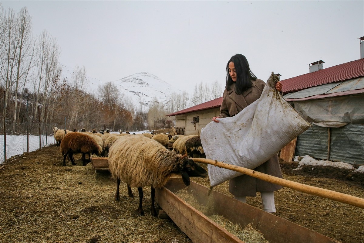Hatay Mustafa Kemal Üniversitesi Ziraat Fakültesi Gıda Mühendisliği Bölümü'nden 2019'da mezun olan...