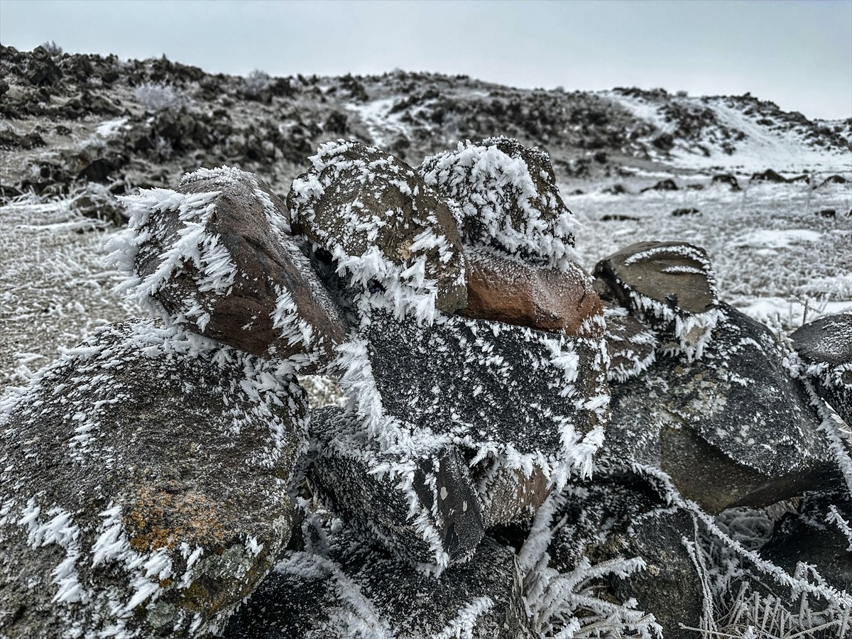 Iğdır'ın yüksek kesimli bölgelerinde etkili olan soğuk hava, hayatı olumsuz etkiliyor. Ağaçlar...