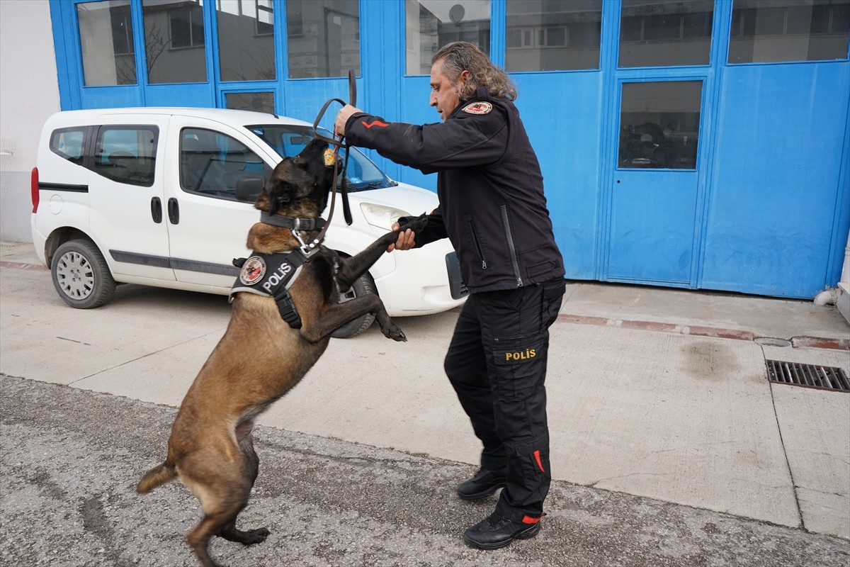 Isparta Emniyet Müdürlüğünün "Milon" isimli narkotik köpeği, Emniyet Genel Müdürlüğü Narkotik...