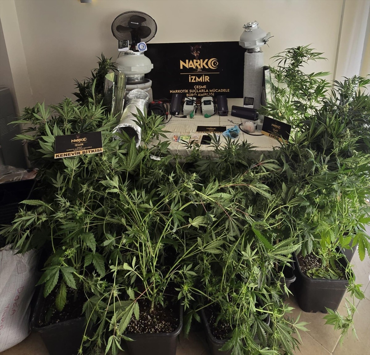 İzmir'in Çeşme ve Seferihisar ilçelerinde uyuşturucu ticareti yaptıkları iddiasıyla gözaltına...