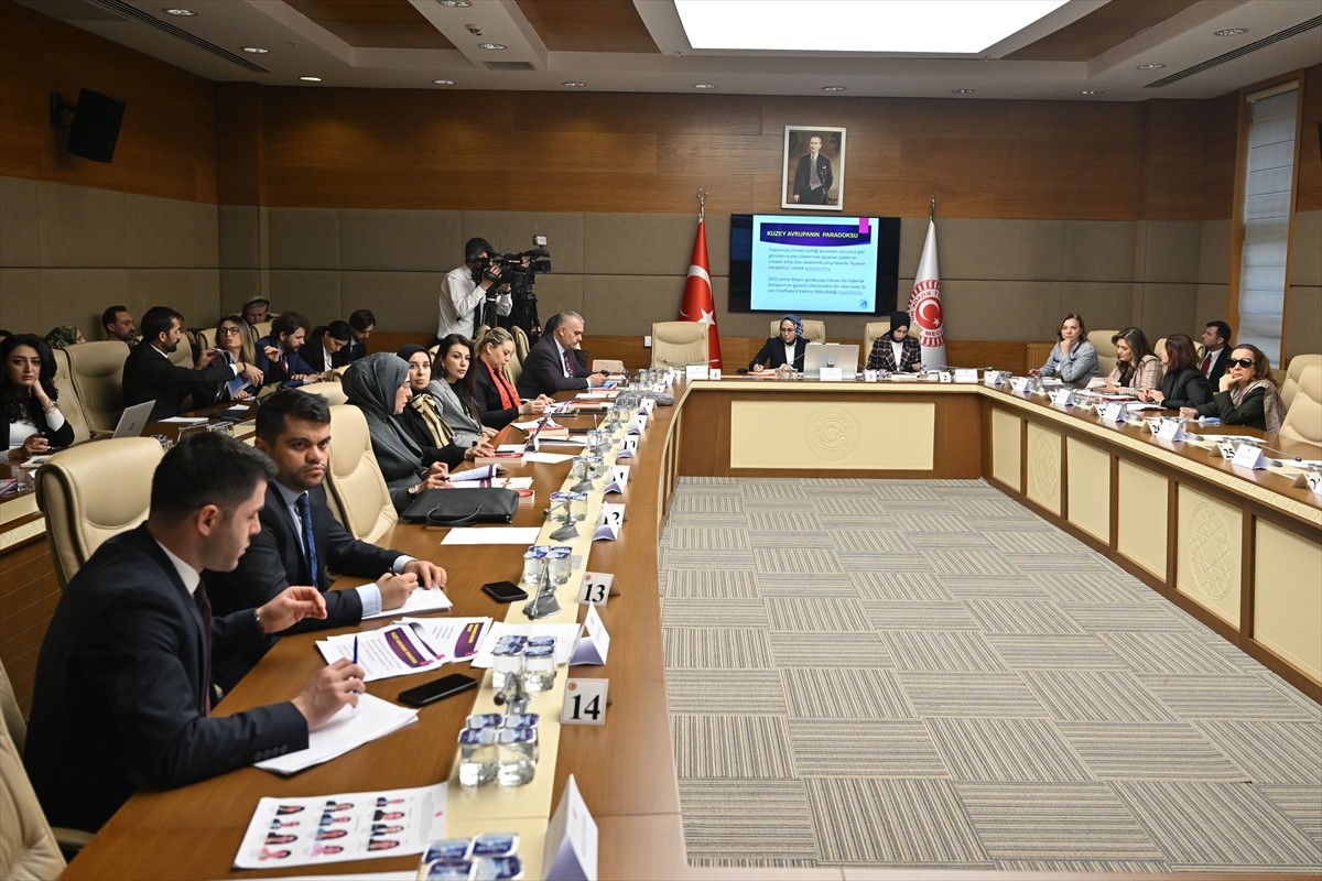 Kadına Karşı Şiddet ve Ayrımcılığın Önlenmesine Yönelik Meclis Araştırma Komisyonu akademisyenleri...