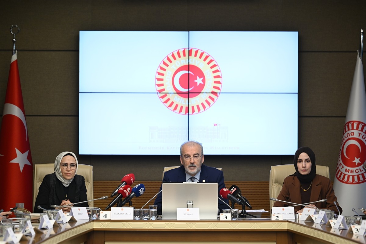 Kadına Karşı Şiddet ve Ayrımcılığın Önlenmesine Yönelik Meclis Araştırma Komisyonu akademisyenleri...