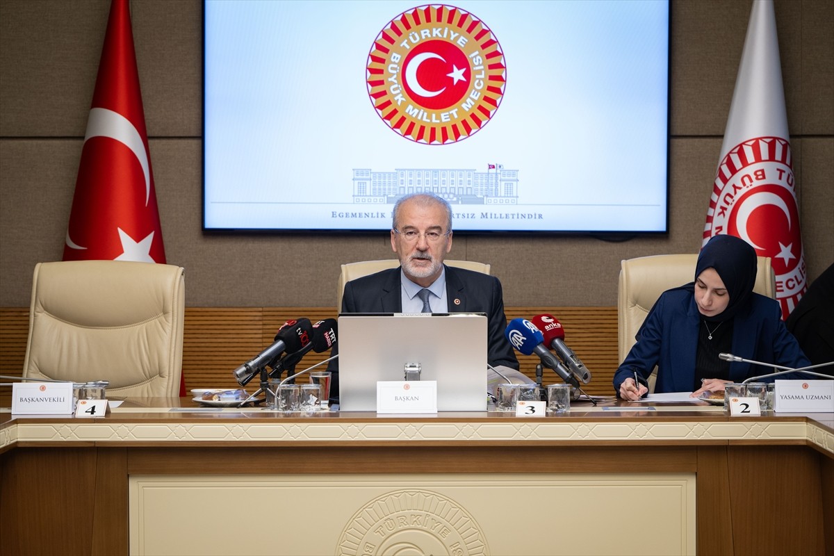 Kadına Karşı Şiddet ve Ayrımcılığın Önlenmesine Yönelik Meclis Araştırma Komisyonu akademisyenleri...