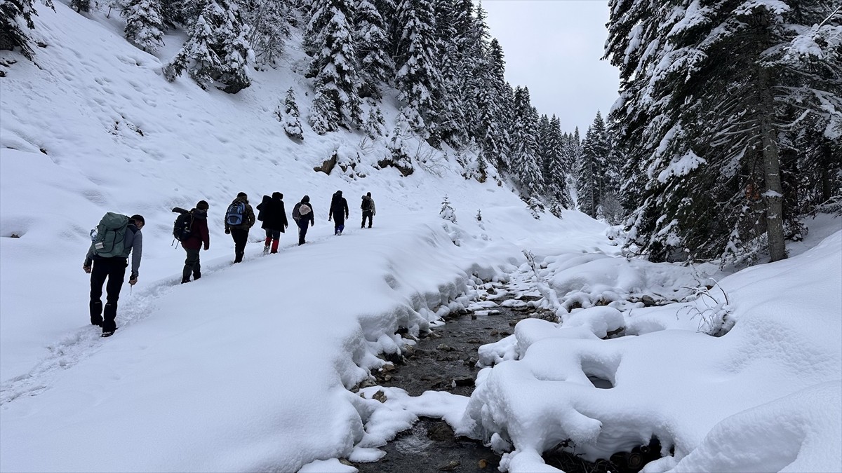 Kar kalınlığının 30 santimetreye ulaştığı Kastamonu-Çankırı sınırındaki Batı Karadeniz'in 2 bin...