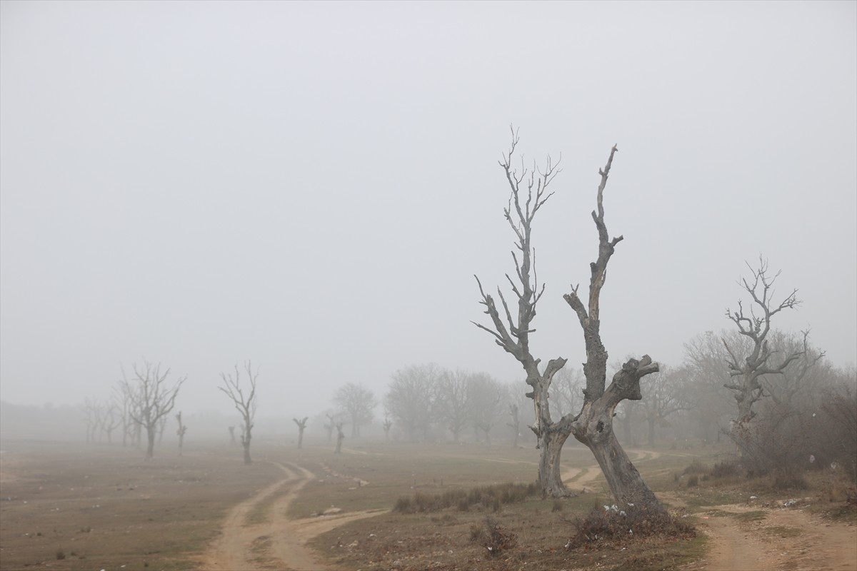 Kırklareli'nde sis nedeniyle görüş mesafesi düştü.