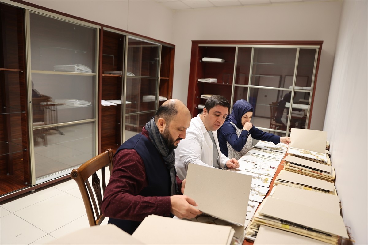 Mardin Artuklu Üniversitesi (MAÜ) bünyesindeki herbaryumda, özel yöntemlerle kurutulan 400 bitki...