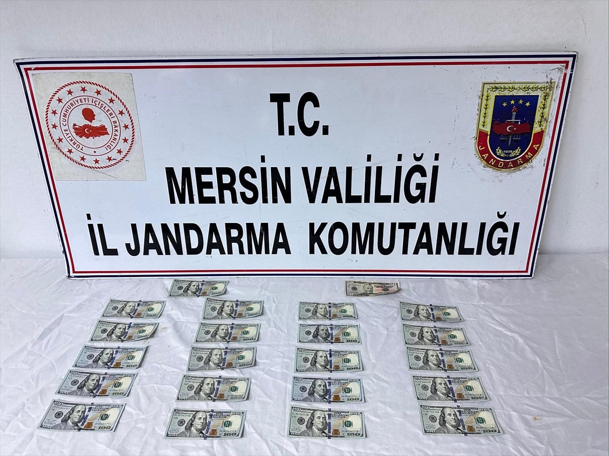 Mersin'in Tarsus ilçesinde, sahte 2 bin 150 dolar ele geçirilen operasyonda 1 şüpheli gözaltına...