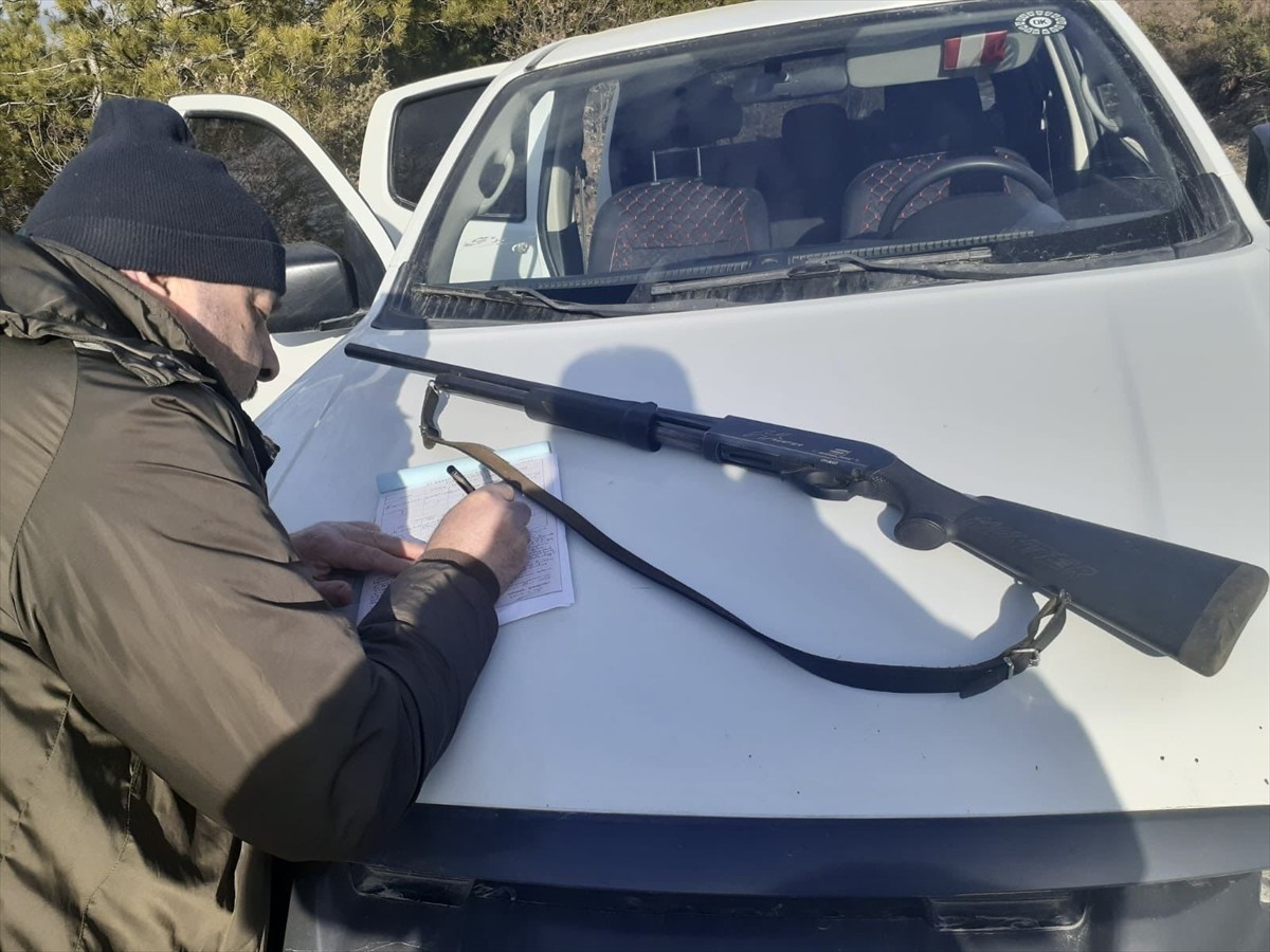 Sinop'ta, geçen yıl Doğa Koruma ve Milli Parklar 10. Bölge Müdürlüğü ekiplerince kaçak avcılık...