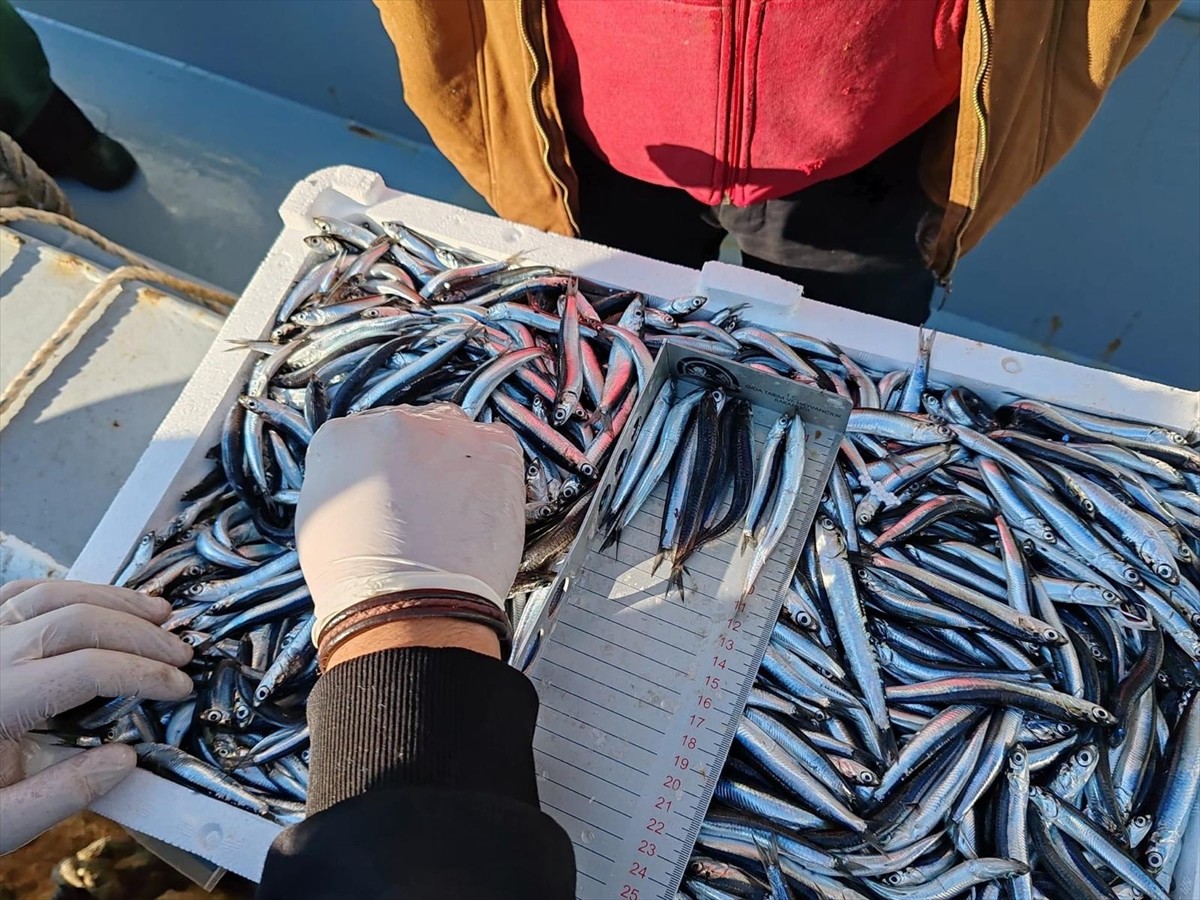 Sinop'ta geçen yıl kaçak su ürünleri avcılığı yaptıkları tespit edilen 57 kişiye, toplam 2 milyon...